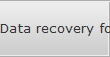 Data recovery for Grand Junction data